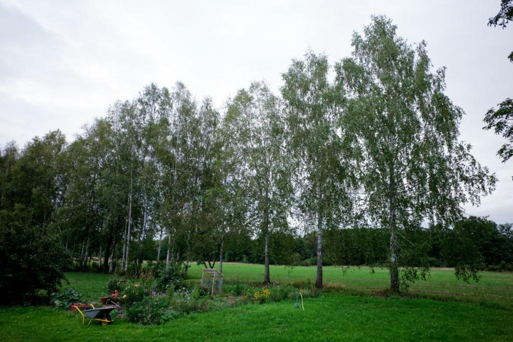 Obere Muehle - Scheunenwohnung Mitten Im Gruenen Baunach Bagian luar foto